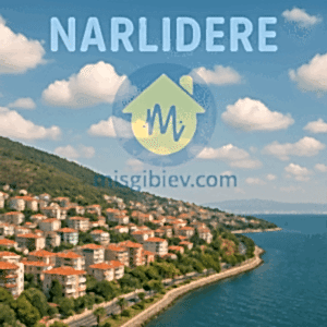 Narlıdere Ev Temizliği – softwinora.online