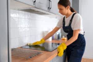 3+1 Ev Temizliği - softwinora.online